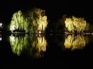 Nachtaufnahme am Teich
